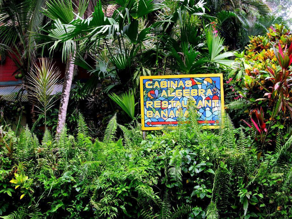 Cabinas Algebra Cahuita Eksteriør bilde