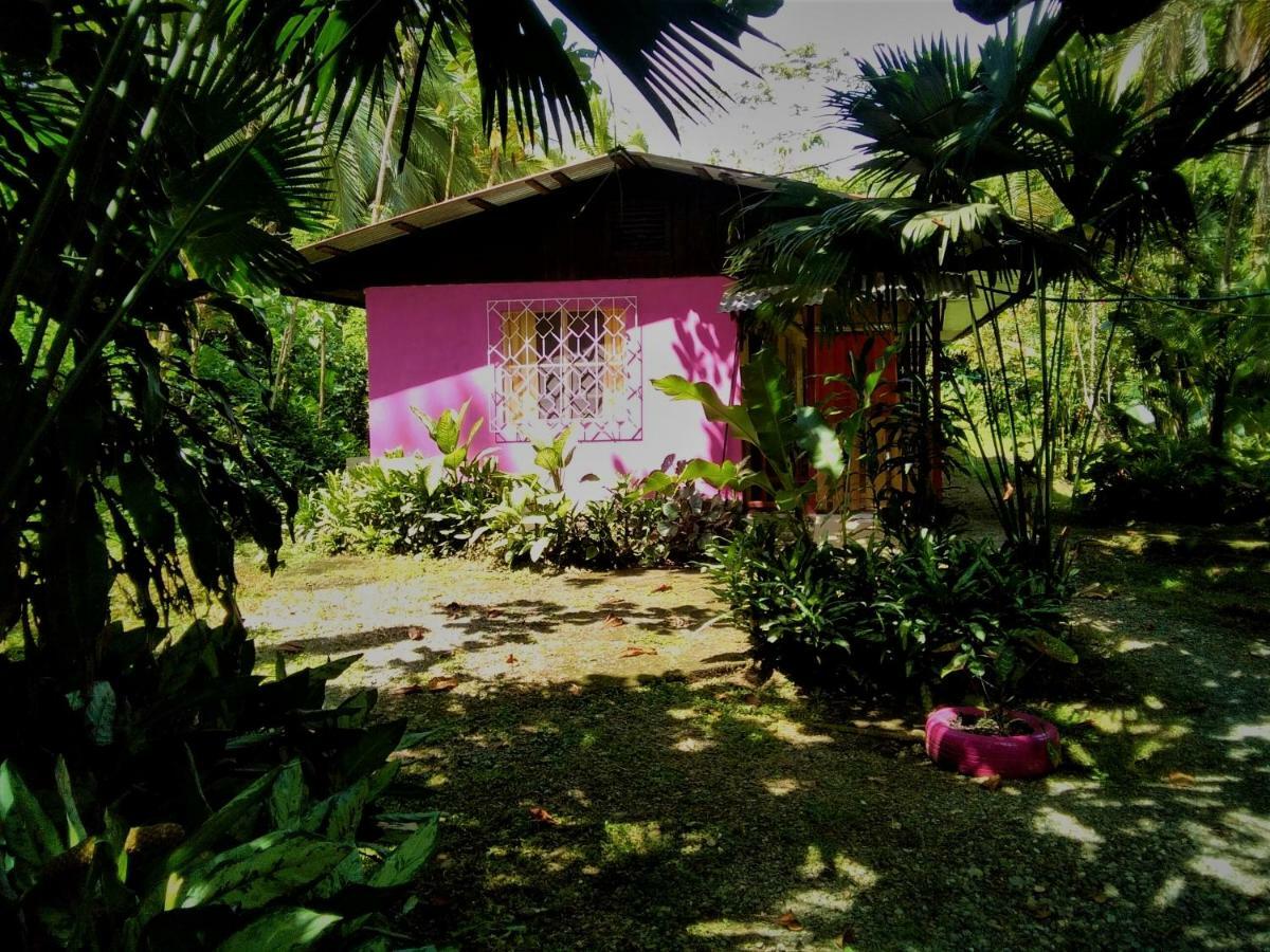 Cabinas Algebra Cahuita Eksteriør bilde