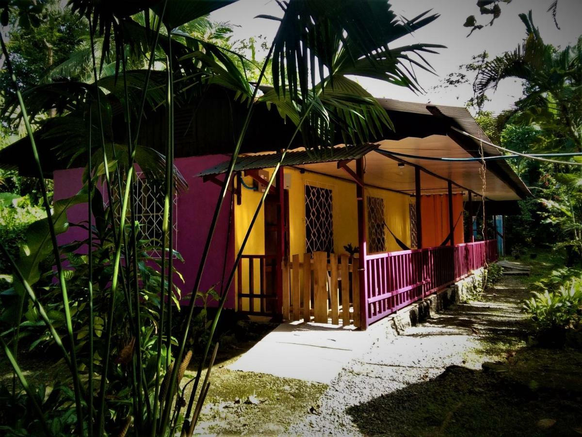 Cabinas Algebra Cahuita Eksteriør bilde