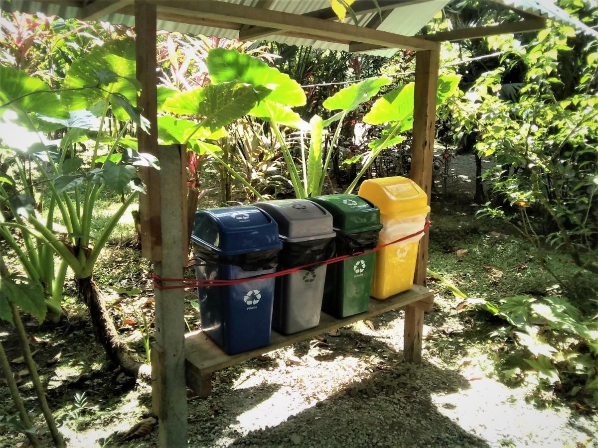 Cabinas Algebra Cahuita Eksteriør bilde