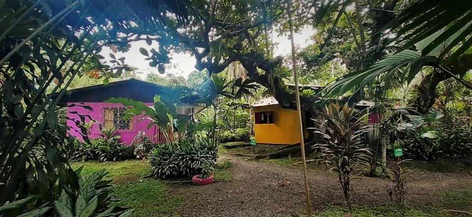 Cabinas Algebra Cahuita Eksteriør bilde